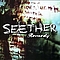 Seether - Remedy альбом