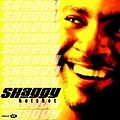 Shaggy - Hotshot альбом