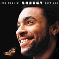 Shaggy - Mr. Lover Lover The Best Of Shaggy...part 1 + Bonus альбом