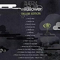 Sheryl Crow - Wildflower album