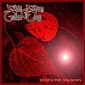 Silent Stream Of Godless Elegy - Behind the Shadows album