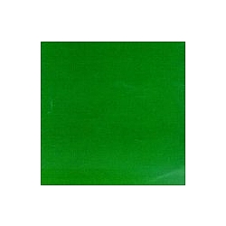 Skankin&#039; Pickle - Green Album альбом
