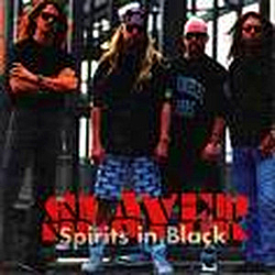 Slayer - Spirits in Black album