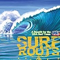 Slightly Stoopid - Surf Roots: A Benefit for the USA Surf Team альбом