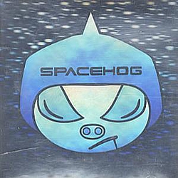 Spacehog - Was It Likely? album