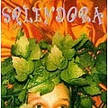 Splendora - In the Grass album