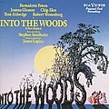 Stephen Sondheim - Into the Woods (Original Broadway Cast) album