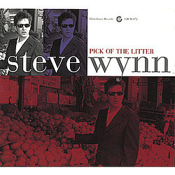 Steve Wynn - Pick Of The Litter album