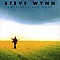 Steve Wynn - Sweetness and Light album