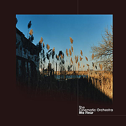 The Cinematic Orchestra - Ma Fleur album