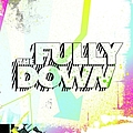 The Fully Down - Don&#039;t Get Lost in a Movement album