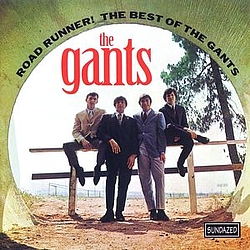 The Gants - Road Runner! The Best Of The Gants album