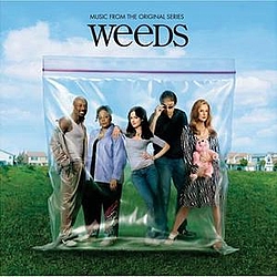 The New Pornographers - Weeds album