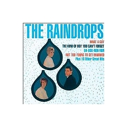 The Raindrops - The Raindrops album