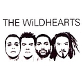 The Wildhearts - The Wildhearts album
