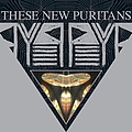 These New Puritans - Beat Pyramid album
