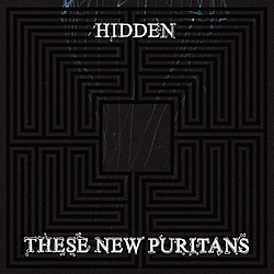 These New Puritans - Hidden альбом