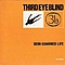 Third Eye Blind - Semi-Charmed Life альбом