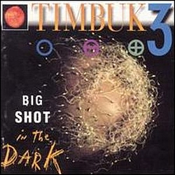 Timbuk 3 - Big Shot in the Dark album