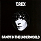 T. Rex - Dandy in the Underworld album