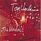 Tom Verlaine - The Wonder album