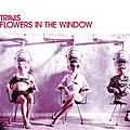 Travis - Flowers in the Window album