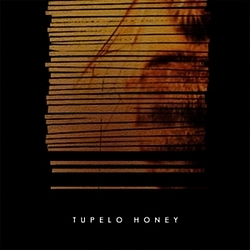 Tupelo Honey - Tupelo Honey (2004-2005) альбом