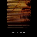 Tupelo Honey - Tupelo Honey (2004-2005) album