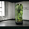 Twin Atlantic - Vivarium альбом