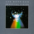 Van Morrison - Beautiful Vision album