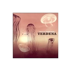 Verdena - Solo un grande sasso album