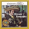 Vicente Fernandez - El Numero Uno album