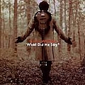 Victor Wooten - What Did He Say album