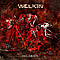 Welkin - The Origin альбом