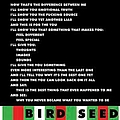 Whitehouse - Bird Seed album