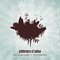 Wilderness Of Tekoa - The Skies Pale in Comparison album