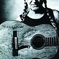 Willie Nelson - The Great Divide album