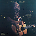 Willie Nelson - What a Wonderful World альбом
