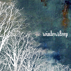 Wintersleep - Wintersleep album