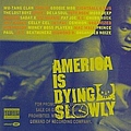 Wu-Tang Clan - America Is Dying Slowly album