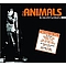 Animals - Retrospective  album