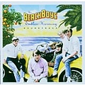 Beach Boys - Endless Harmony Soundtrack (W альбом