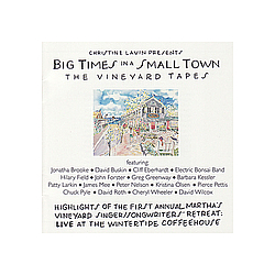 Barbara Kessler - Big Times In A Small Town- The Vineyard Tapes album