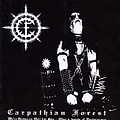 Carpathian Forest - We&#039;re Going to Hell for This: Over a Decade of Perversions альбом
