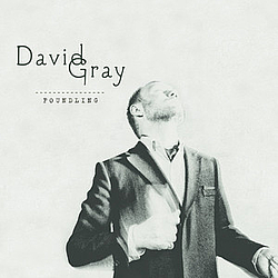 David Gray - Foundling album