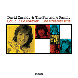 David Cassidy - Could It Be Forever...The Greatest Hits album