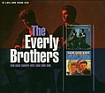 Everly Brothers - Sing Great Country Hits/Gone Gone Gone album