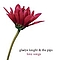 Gladys Knight - Love Songs album