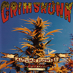 Grim Skunk - Autumn Flowers [Rerolled] album
