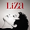 Liza Minnelli - Confessions album